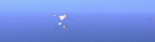 Captura de pantalla 2014-02-18 a las 08.58.02
