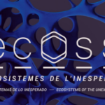 [Performance] Festival ECOSS 2026
