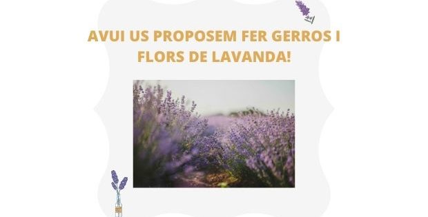 Gerro i flors de lavanda