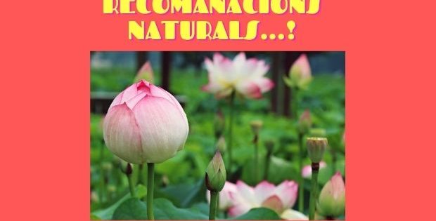 Recomanacions naturals